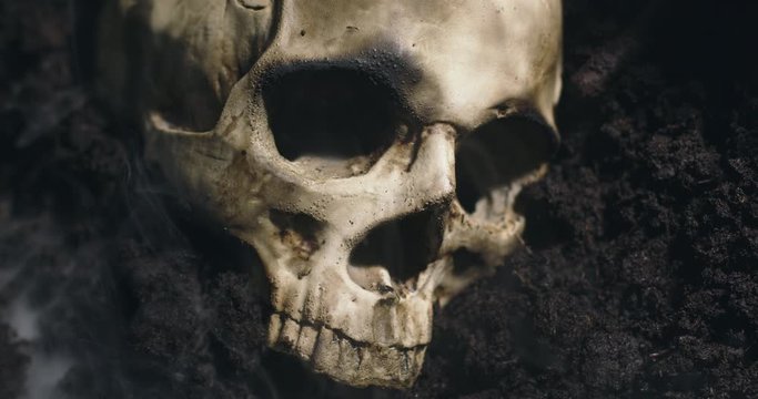 Human skull on the wet soild with smoke flowing