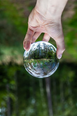 Crystal ball forest is reflected in the glass sphere