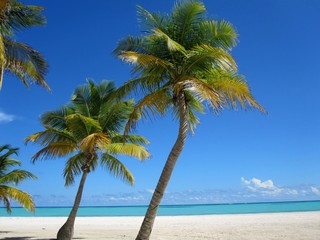 Sunny Beach, Caribbean, Dominican Republic