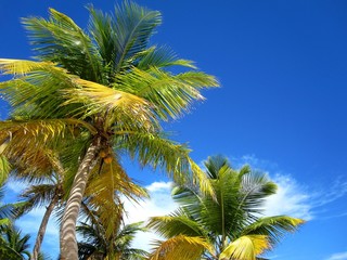 Sunny Beach, Caribbean, Dominican Republic