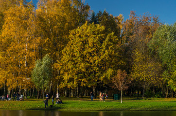 Golden autumn in a beautiful city park. Yellow trees in a mirror reflection of a blue lake. Krestovsky city park. Autumn park with green grass. SPb, Russia, October 17, 2019