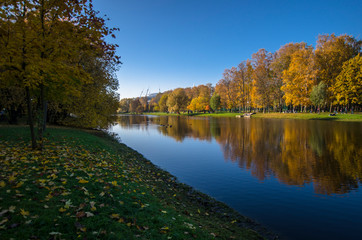Golden autumn in a beautiful city park. Yellow trees in a mirror reflection of a blue lake. Krestovsky city park. Autumn park with green grass. SPb, Russia, October 17, 2019