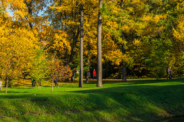 Golden autumn in a beautiful city park. Yellow trees in a mirror reflection of a blue lake. Krestovsky city park. Autumn park with green grass. SPb, Russia, October 17, 2019