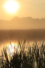 Pond Sunrise II