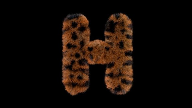 3d animated furry leopard typeface text with alpha channel  H