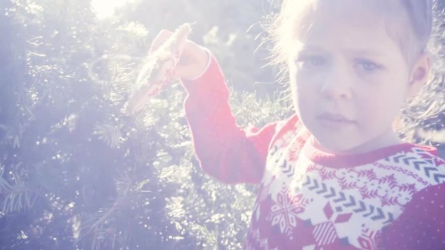 Slow motion. Little girl in red dress on Christmas tree farm.