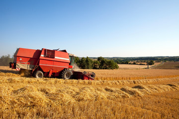 Obraz premium Moissonneuse dans un champ de blé, campagne française.