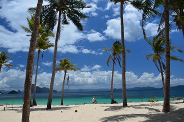 beach with palm trees in Philippines