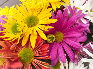 Bouquet of colorful flowers.