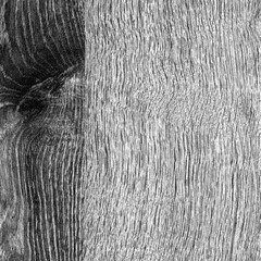 Old wooden black and white texture background. Boards or panels