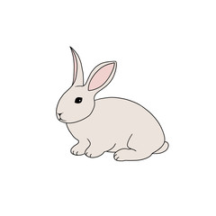 Sitting rabbit, domestic animal. Hand drawn graphic element isolated on white background.  Series of farm animals.