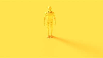 Yellow Ecorche System Anatomical Model Front View 3d illustration 3d render
