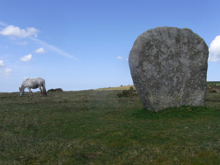 Bodmin,Cornwall, UK. 2014/4/25. Bodmin pony  or is it a Unicorn by a standing stone part of Trippet Stone Circle, near Blisland, Bodmin Moor. Bronze age with a diameter of 104.6 feet (31.9 m