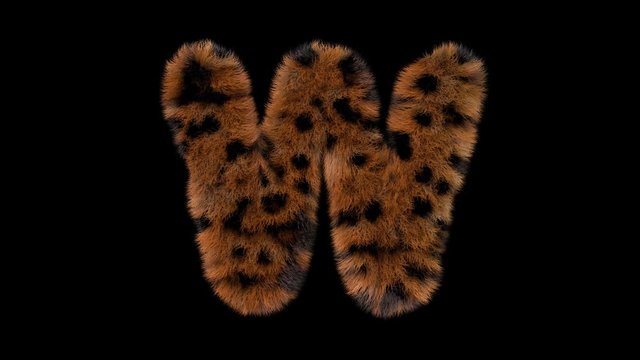 3d animated furry leopard typeface text with alpha channel  W