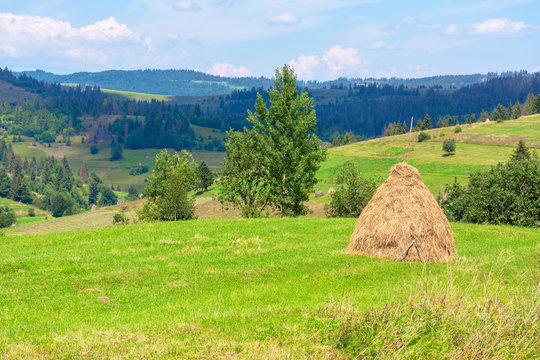 haystack on the grassy field in summer. traditional carpathian rural landscape in mountains. sunny weather with fluffy clouds