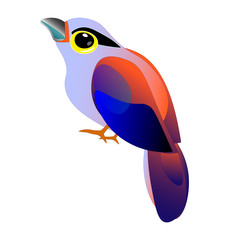 blue bird on white background