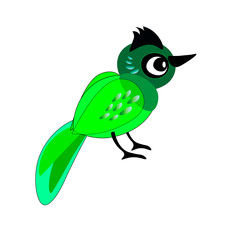 green bird