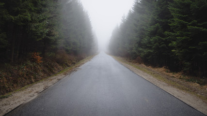 droga we mgle © Tomasz