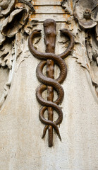 Close-up of a caduceus or a Rod of Asclepius with a pair of snakes twisted around a stick, symbolical decoration on the wall of an old pharmacy, Turin, Piedmont, Italy