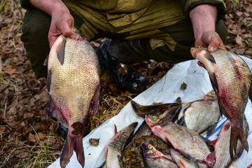 A fisherman on the shore holds a fish in his hands.