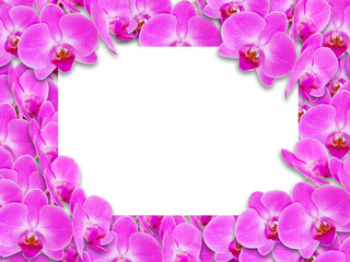Fototapeta na wymiar Background with blank space and flowers orchids