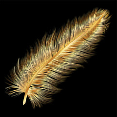 art, background, beautiful, beauty, bird, black, bright, calligraphy, color, colored, colorful, concept, creative feathers, decoration, draw, drawing, elegance, element, feather, fluffy, fly, gold, go