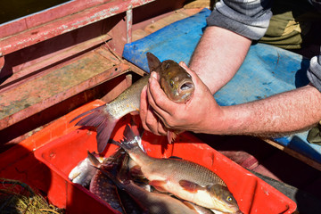 A fisherman in a boat holds a caught fish