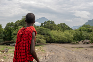 Maasai man in red traditional cloth walking near Lake Natron and Lengai volcano, Tanzania