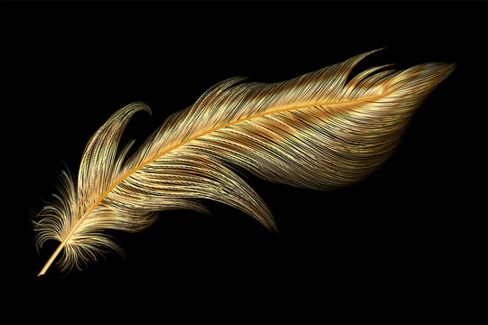 Feather Pen Hd Transparent, Golden Feather Pen, Textured