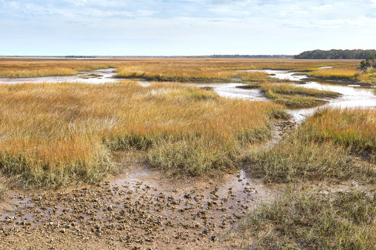 View of scenic salt marsh from Timacuan Preserve in Jacksonville, Florida