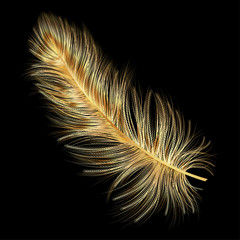 art, background, beautiful, beauty, bird, black, bright, calligraphy, color, colored, colorful, concept, creative feathers, decoration, draw, drawing, elegance, element, feather, fluffy, fly, gold, go