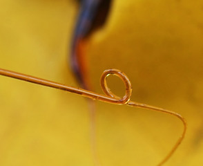 Circle shape resin on apricot tree with yellow background in orc