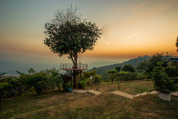 abstract background of nature,a high angle that can see the scenery around (trees,meadows,mountains, the light of the twilight in the evening) and the wind blowing through the large mountains