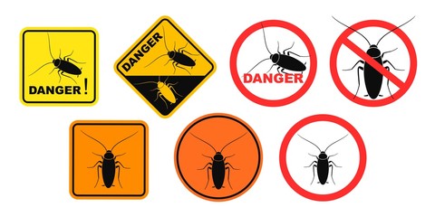 Cockroach danger sign. Isolated cockroach on white background