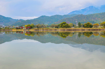 Fototapeta premium 京都の広沢池