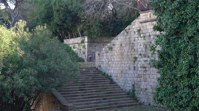 Ancient stone staircase in the park. green loach on the wall of large old stones