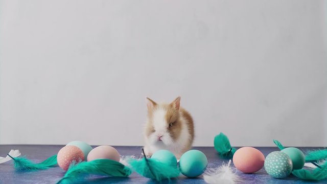 Cute Easter bunny on table with colorful eggs and feathers. Easter holiday decorations, Easter concept background.