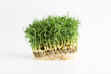 Sprouts of peas, micro greens on a white background, macro