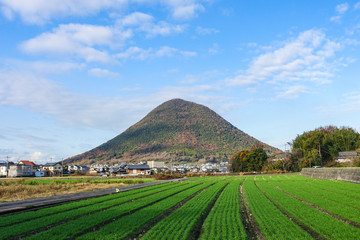 讃岐富士こと飯野山