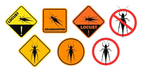 Grasshopper danger sign. Isolated grasshopper on white background