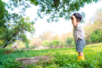 Adorable 1-2 year baby boy playing on green grass sunny day summer tropical park forest