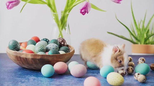 Cute Easter bunny on table with colorful eggs and tulips. Easter holiday decorations, Easter concept background.