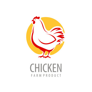 Chicken logo or label. Farm animal symbol vector
