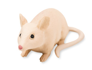 Fototapeta premium Toy rat isolated on white background, close-up