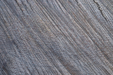 Fototapeta premium gros plan d'une planche de bois. close up of a wooden board.