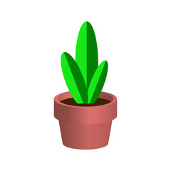 Young plant in a pot. Vector flat design. Isolated object on white. Icon Image for advertising booklets, banners, flyers, logos and articles.