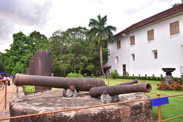 two long cannon in a garden