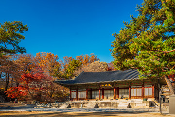 Gardens, Ponds, Pavilions and Fall Foliage at Changdeokgung Palace in Seoul Korea