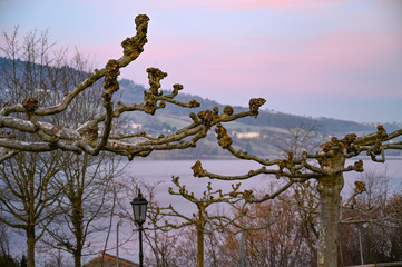 Morgendämmerung am See 