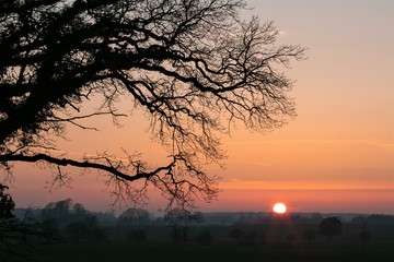 bare branches with rural landscape at sunrise in winter